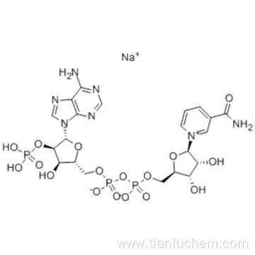 BETA-NICOTINAMIDE ADENINE DINUCLEOTIDE PHOSPHATE SODIUM SALT CAS 1184-16-3